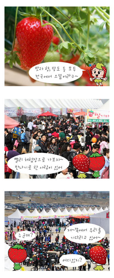 딸기축제만화이미지