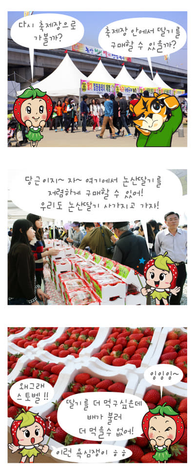 딸기축제만화이미지
