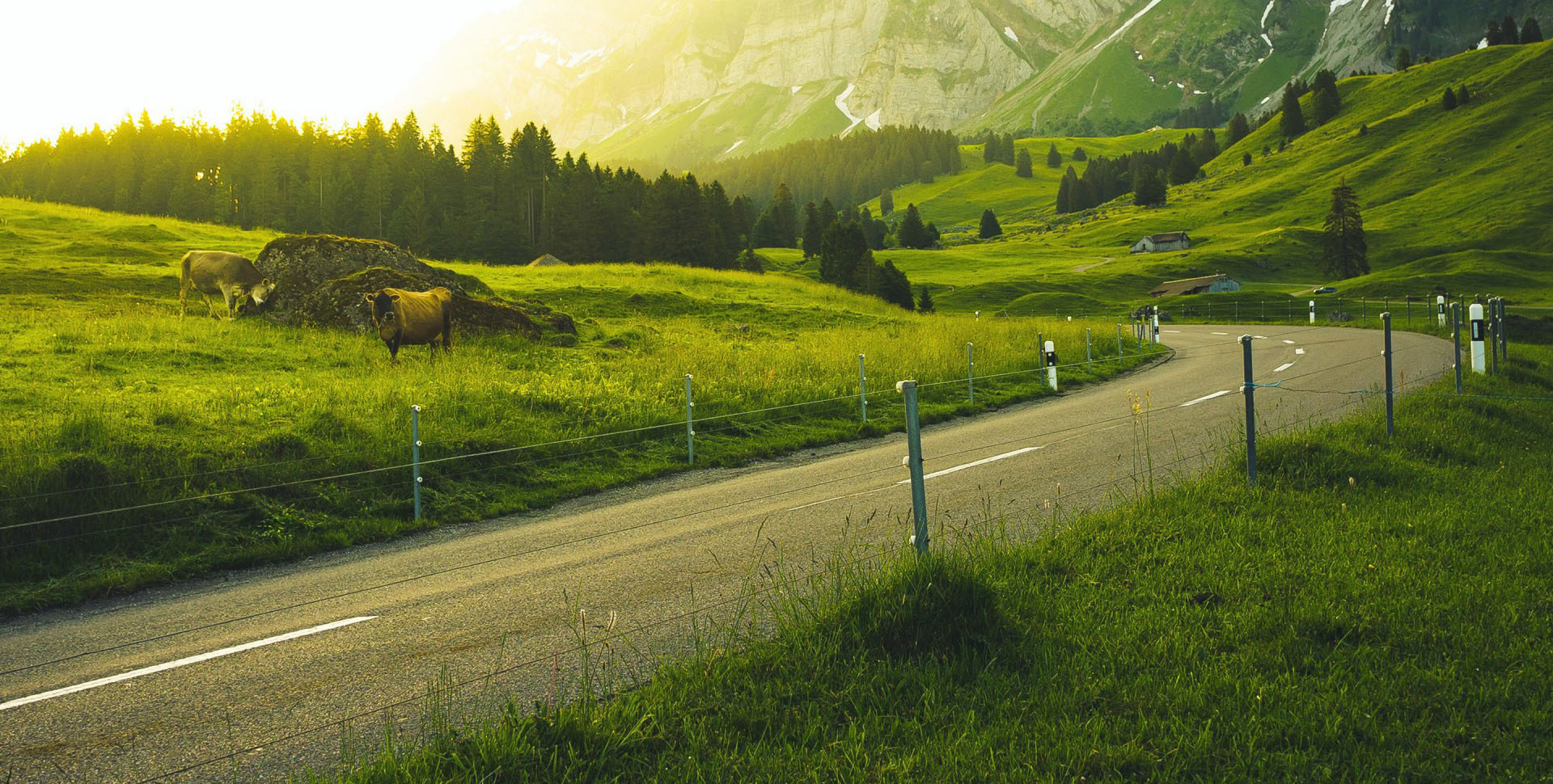 로그인배경이미지