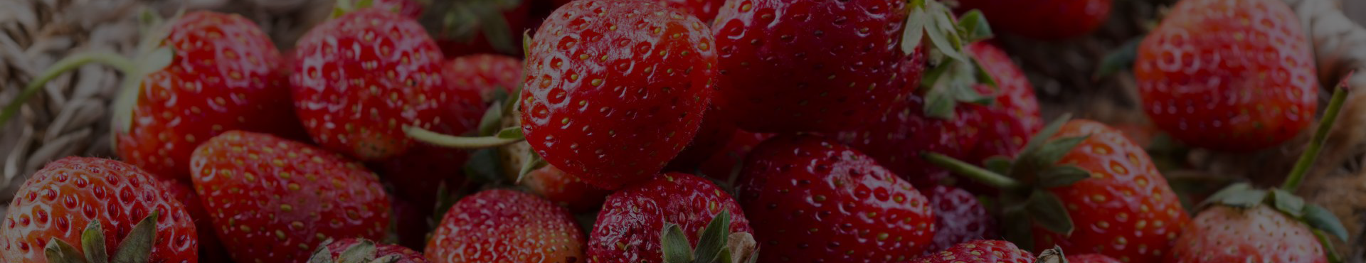 현황배경이미지