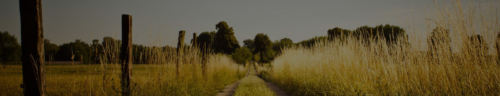 읍면동배경이미지