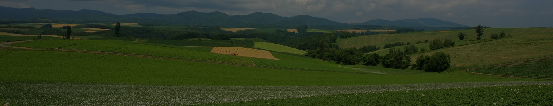 현황배경이미지